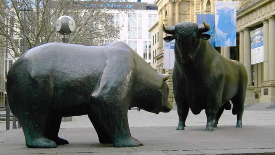Bull vs. Bear
