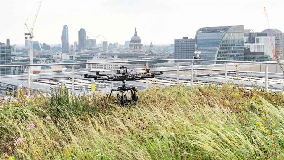 Drone on top of a green roof