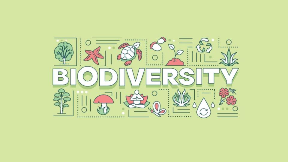 Nordea AM: Biodiversity