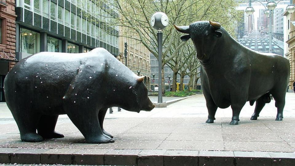 Bull versus bear