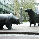 Bear vs Bull